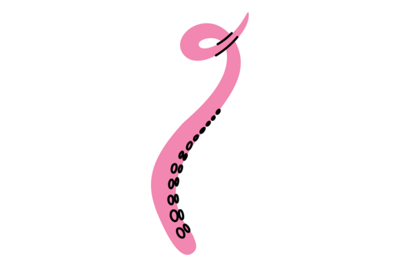 Download Octopus Pink Tentacle. Cute Mollusk. Car - Ink Collection