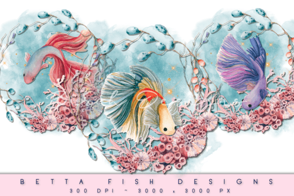 Download Betta Fish Aquatic Wreath PNG Designs - Sign Collection